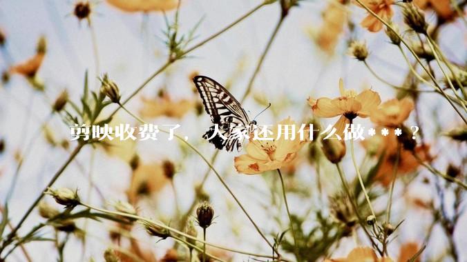剪映收费了，大家还用什么做***?